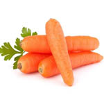 Насіння моркви