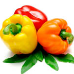 Насіння перцю гіркого