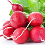 Насіння редиски