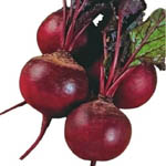 Насіння буряка столового