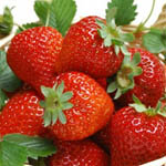 Розсада полуниці