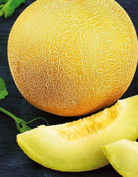 Цілющий м’якуш дині Цілющий м’якуш дині