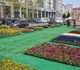 Карантин красоте не помеха. Бизнес против пандемии