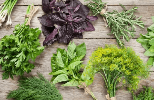 Універсальні прянощі зі свого городу: ідеї та рецепти Універсальні прянощі зі свого городу: ідеї та рецепти