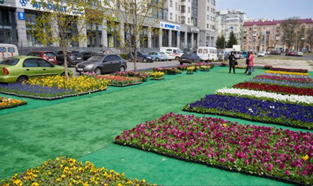 Карантин красоте не помеха. Бизнес против пандемии Карантин красоте не помеха. Бизнес против пандемии