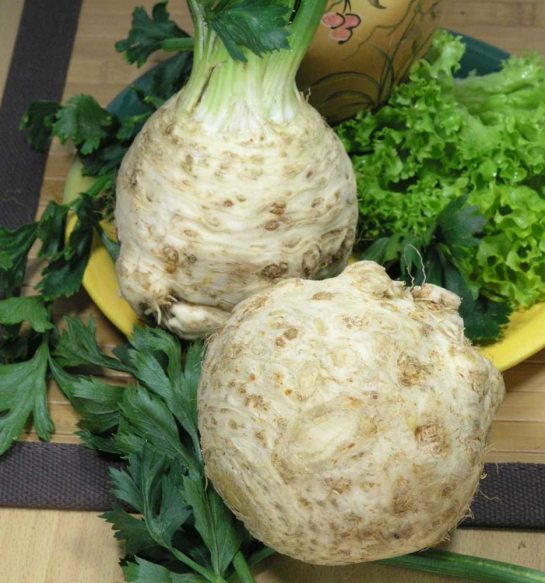 Розсада селери: як виростити здорові рослини