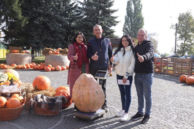 Секрети вирощування гігантського гарбуза: поради та рекомендації Секрети вирощування гігантського гарбуза: поради та рекомендації